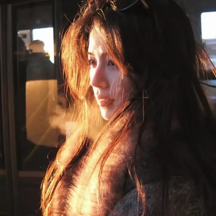 燕子与鹦鹉