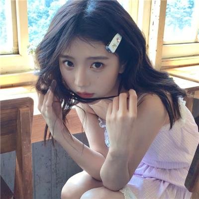 真情玫瑰