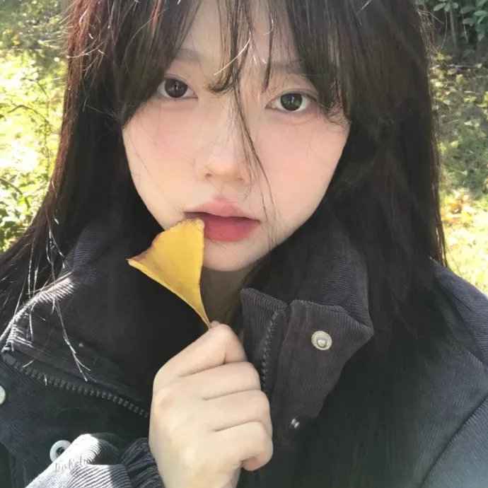 聪明的鸭子